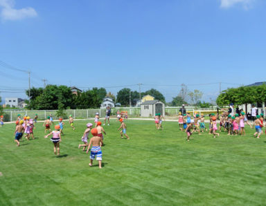 認定こども園　児玉櫻井幼稚園(埼玉県本庄市)先輩からの一言