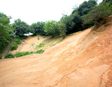 山田幼稚園(広島県広島市西区)の様子