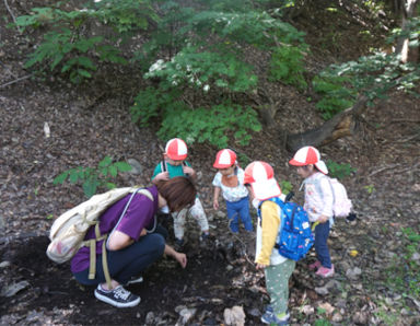 もいわ中央こども園(北海道札幌市南区)の様子