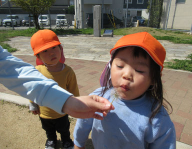 ニチイキッズおおくぼきた保育園(兵庫県明石市)の様子