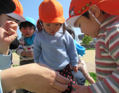 ニチイキッズおおくぼきた保育園(兵庫県明石市)の様子