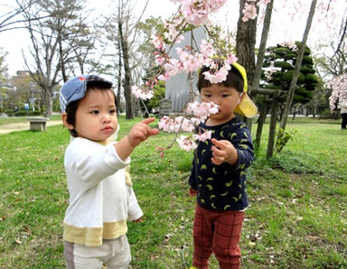 ニチイキッズつしま新野保育園(岡山県岡山市北区)の様子