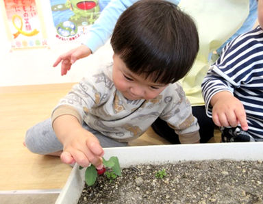 ニチイキッズつしま新野保育園(岡山県岡山市北区)の様子