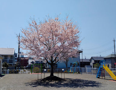 あさひの保育園(栃木県宇都宮市)の様子