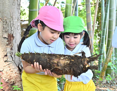 こびとの森保育園(埼玉県さいたま市南区)の様子