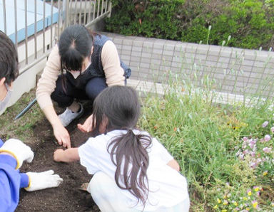 コスモス苑(東京都大田区)の様子