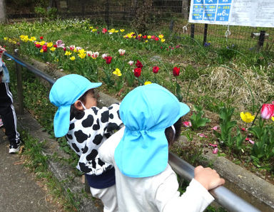 プチもり保育園(東京都町田市)の様子