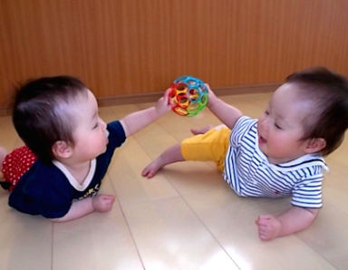 プチもり保育園(東京都町田市)の様子