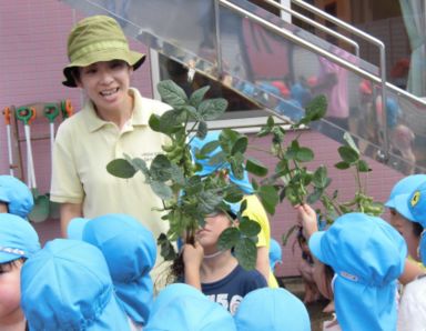 グリーンキッズ湘南ライフタウン(神奈川県藤沢市)先輩からの一言