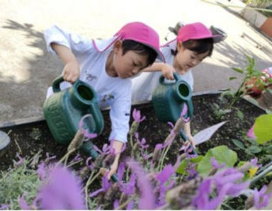 幼稚園型認定こども園 旭たちばな幼稚園(神奈川県海老名市)の様子