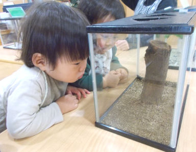 春風ピッコロ保育園(愛知県名古屋市千種区)の様子