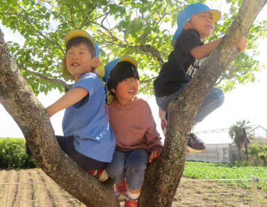 幼保連携型認定こども園丸島保育園(愛知県愛西市)の様子