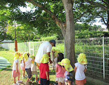 ひさやま保育園　杜の郷(福岡県糟屋郡久山町)先輩からの一言