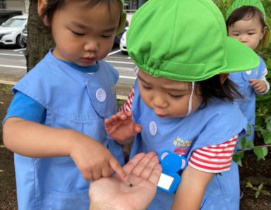 みんなの遊々保育園(東京都江戸川区)の様子