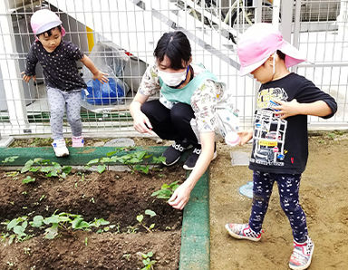 K's garden行徳保育園(千葉県市川市)の様子