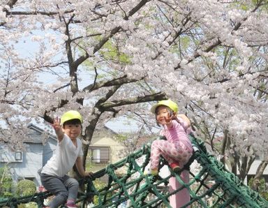 保育園ナチュラル上尾本町園(埼玉県上尾市)の様子