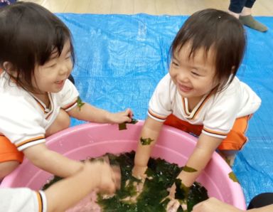 小規模保育施設ベビーランドさくら園(大阪府大阪市西淀川区)の様子