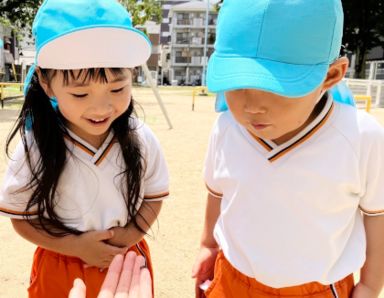 かしわざとさくら園(大阪府大阪市西淀川区)の様子