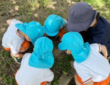 かしわざとさくら園(大阪府大阪市西淀川区)の様子