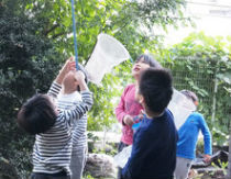 森村学園幼稚園「子どもの森」(神奈川県横浜市緑区)の様子