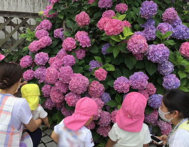 アルタキッズ妙典園(千葉県市川市)の様子