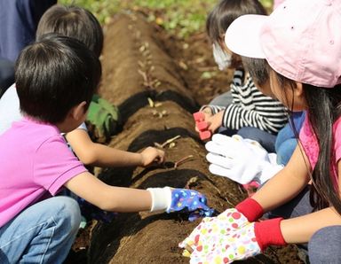 ディルーカ保育園新蒲田園(東京都大田区)の様子