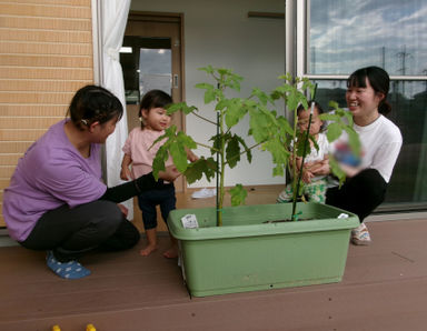 トレジャーキッズながはた保育園(大阪府八尾市)の様子