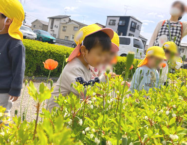 はるまちつぼみ保育園(新潟県新潟市中央区)の様子