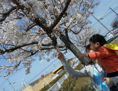 もりのなかま保育園多賀城高橋園(宮城県多賀城市)の様子