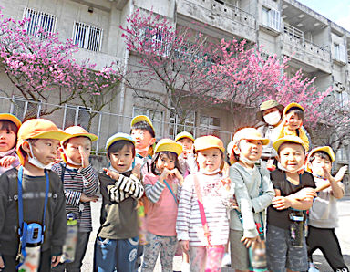 もりのなかま保育園北中城園(沖縄県中頭郡)の様子