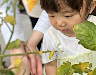 ママサポ・テラス名古屋 グローバルゲート園(愛知県名古屋市中村区)の様子