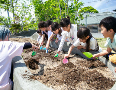 認定こども園 いちごいちえん(福岡県宗像市)先輩からの一言