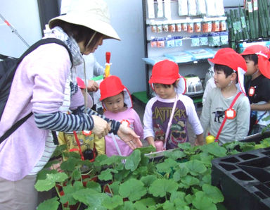 よつばこども園(福井県坂井市)の様子