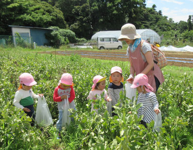 Poco a Poco保育園(神奈川県横浜市港南区)の様子