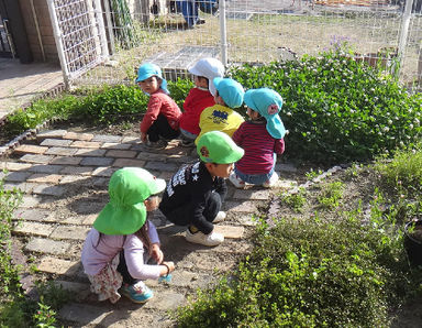 幼保連携型認定こども園枦谷つぐみ保育園(兵庫県神戸市西区)の様子