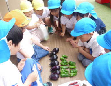 小ざくら第二保育園(岡山県倉敷市)の様子