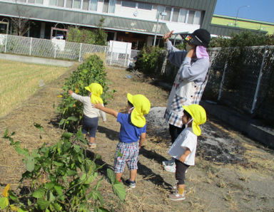 くりのおうち保育園(岡山県倉敷市)の様子