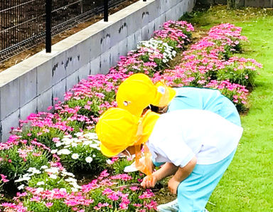 草深こじか第二保育園(千葉県印西市)の様子