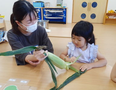 ビオーズよこね保育園(愛知県大府市)の様子