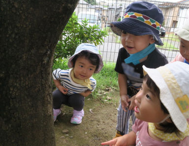 ウィズチャイルド さくらがおかみなみ園(東京都多摩市)の様子