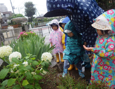 ウィズチャイルド さくらがおかみなみ園(東京都多摩市)の様子