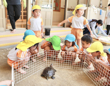 認定こども園　成徳保育園(福岡県福岡市西区)先輩からの一言