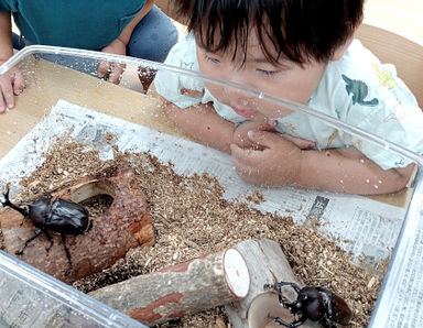 ルアナ保育園浦和(埼玉県さいたま市浦和区)の様子