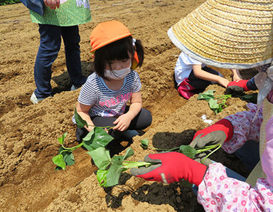 クニナ袖ケ浦保育園(千葉県袖ケ浦市)の様子