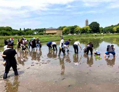 かがやき保育園とりで(茨城県取手市)の様子