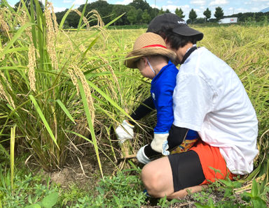  かがやき保育園みと(茨城県水戸市)の様子