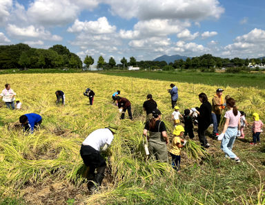 かがやき保育園いしおか(茨城県石岡市)の様子