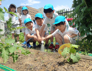 認定こども園　徳風幼稚園(富山県富山市)の様子