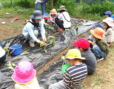 （仮称）認可保育園守山こども芸術大学(滋賀県守山市)の様子