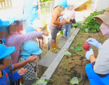 りぼんi保育園(兵庫県明石市)の様子